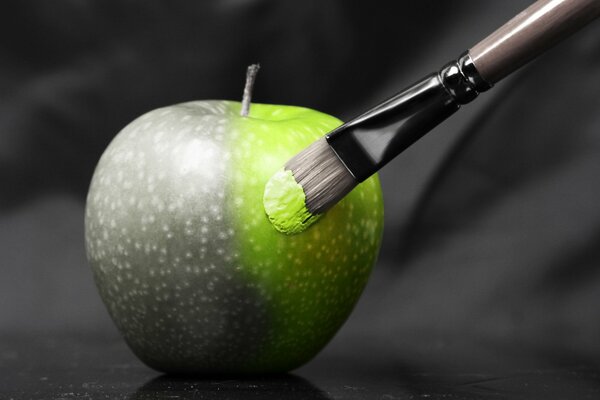 Kreativer grauer Apfel wird mit einem Pinsel in Grün gefärbt