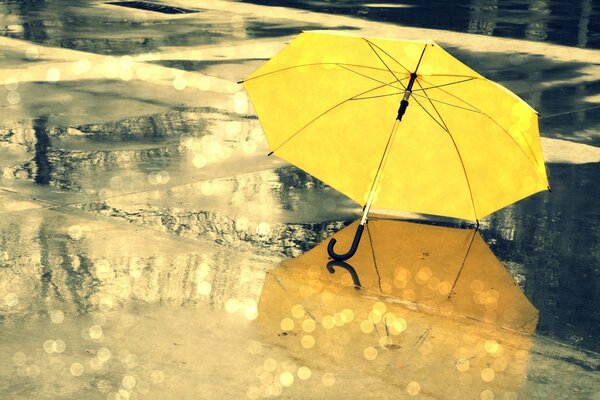 Ein schöner gelber Regenschirm spiegelt sich in einer Pfütze wider