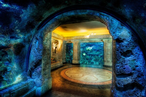 In einer Unterwasserhöhle ist ein Oktopus auf dem Boden des Gehirns gestapelt