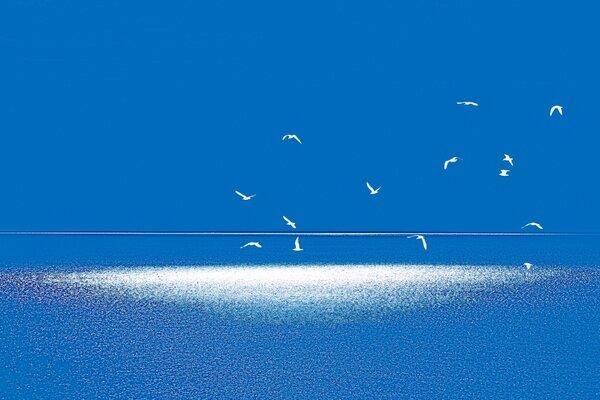 Weiß-blaue Landschaft mit fliegenden Vögeln