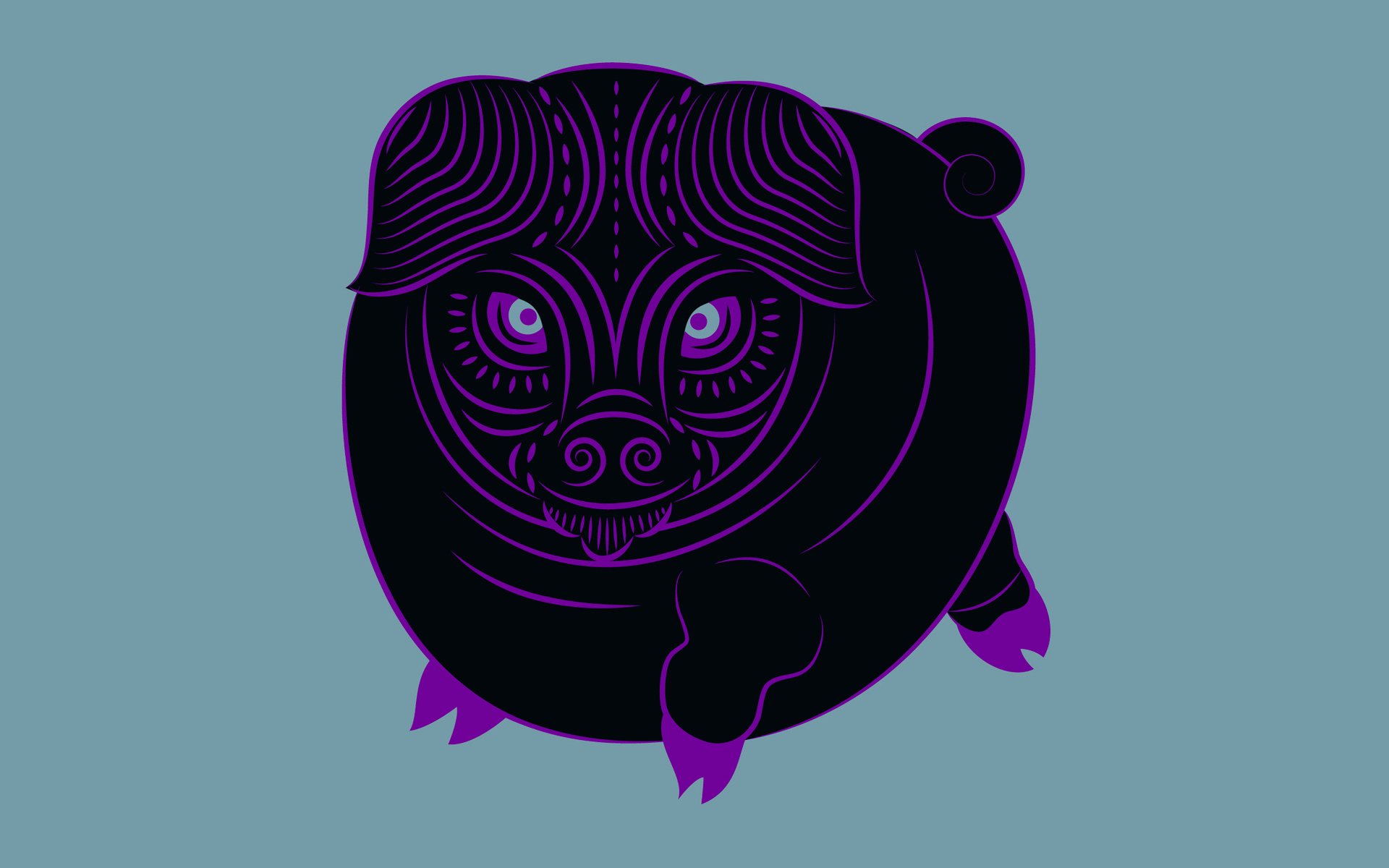 zodiac zune schwein
