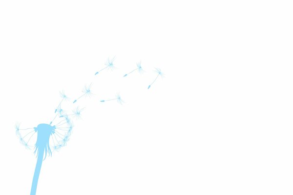 Fliegender blauer Löwenzahn auf weißem Hintergrund