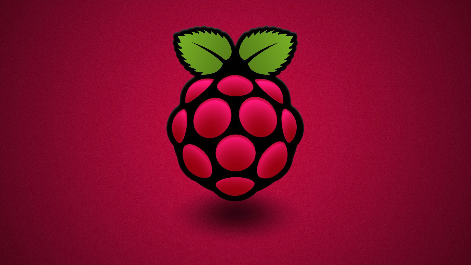 beere himbeere blatt farbe computer raspberry pi