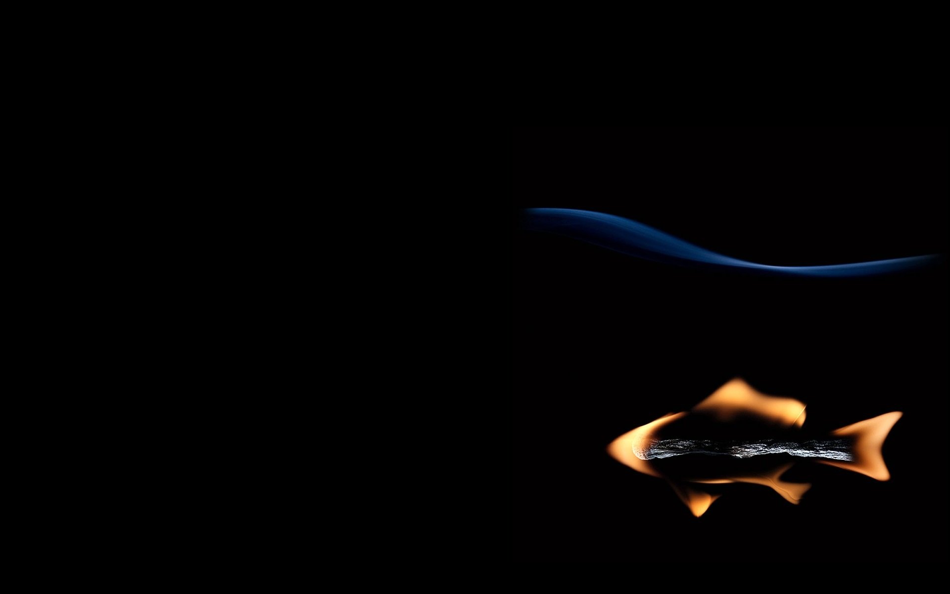 kreativ fisch fisch streichholz feuer schwarzer hintergrund autor stanislav aristov