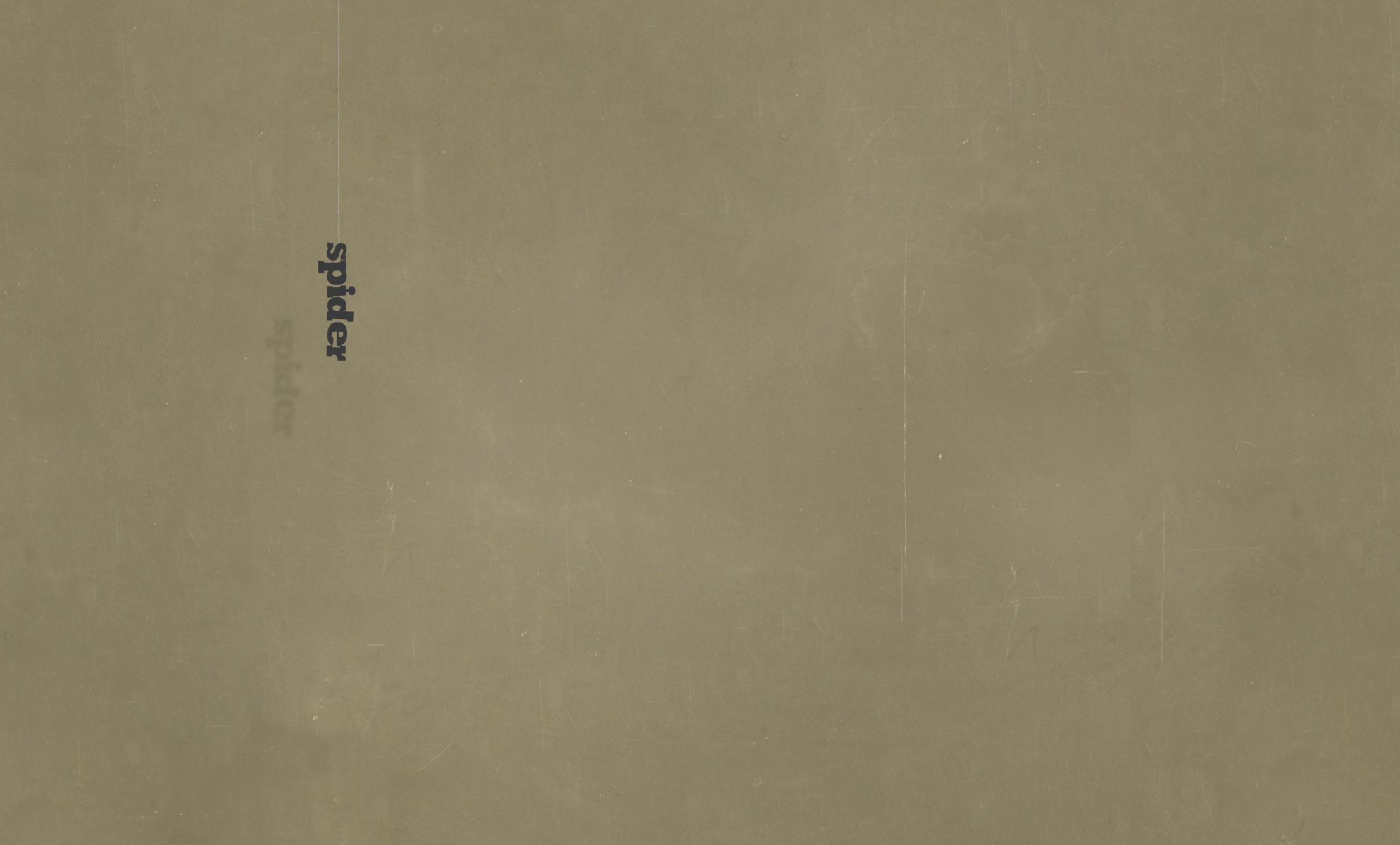 minimalismus wort spinne