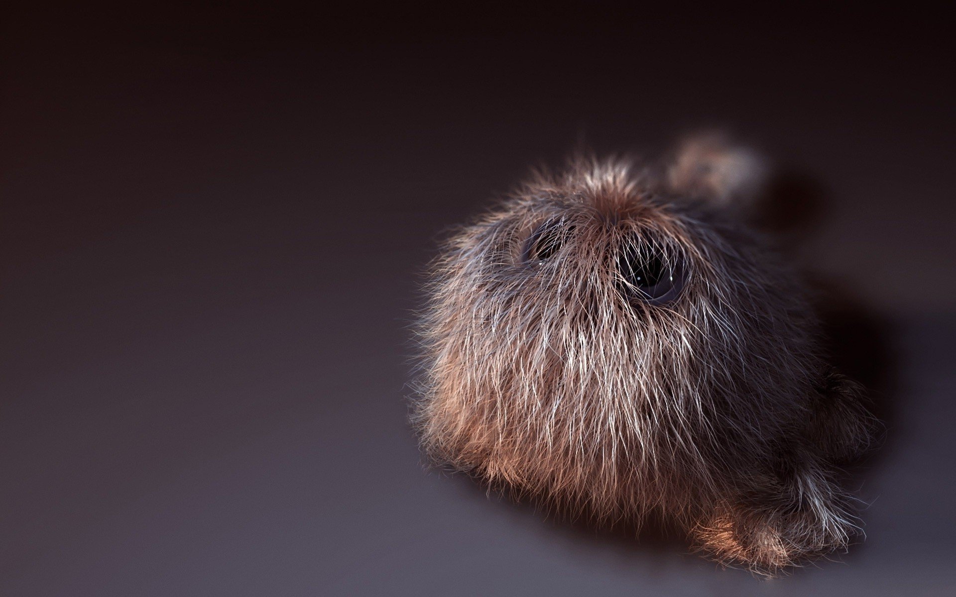 zottig flauschig klein