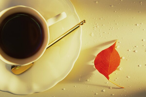 Eine Tasse Kaffee bei regnerischem, herbstlichem Wetter