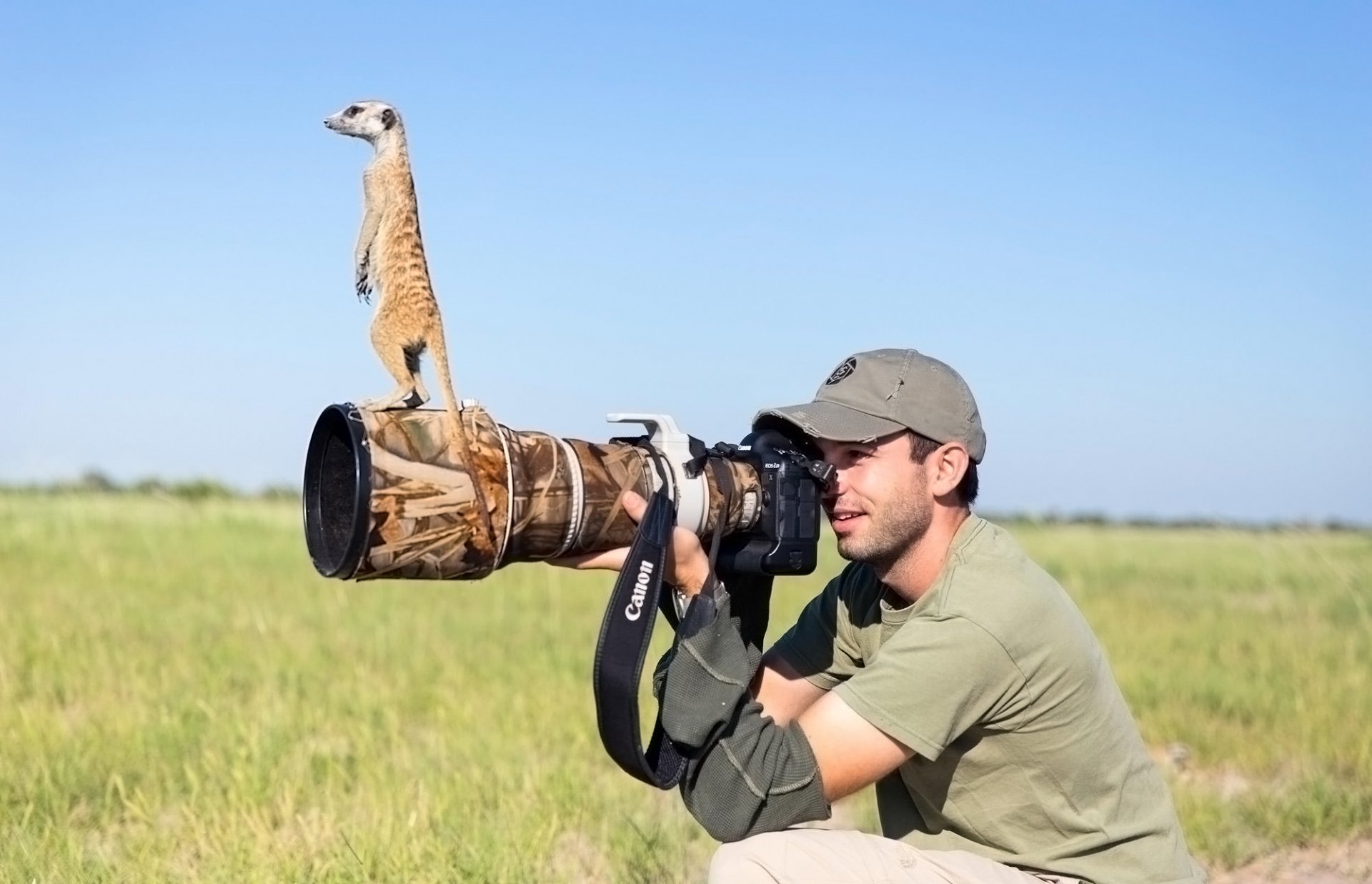 fotograf erdmännchen objektiv