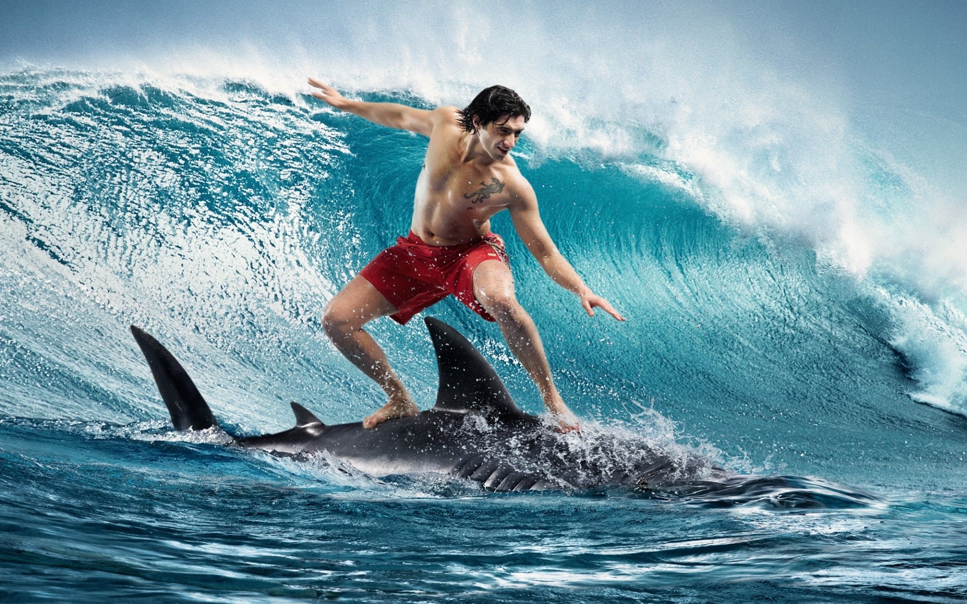 freund hai surfen welle