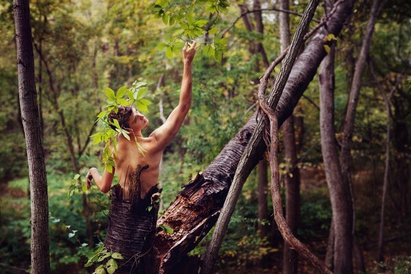 Mann zeigt einen Baum im Wald