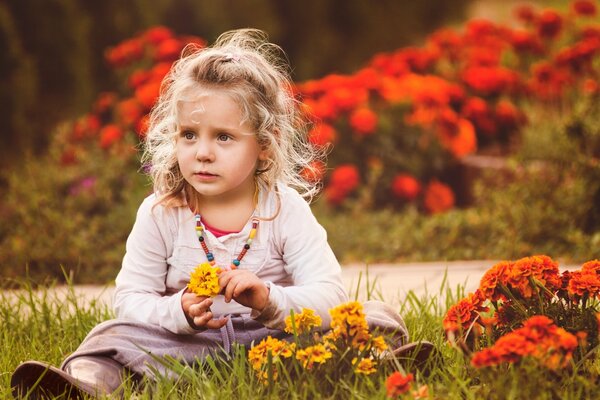 Ein Mädchen sitzt im Gras inmitten roter Blumen