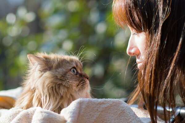 Ein Mädchen mit einer Katze schaut sich gegenseitig in die Augen
