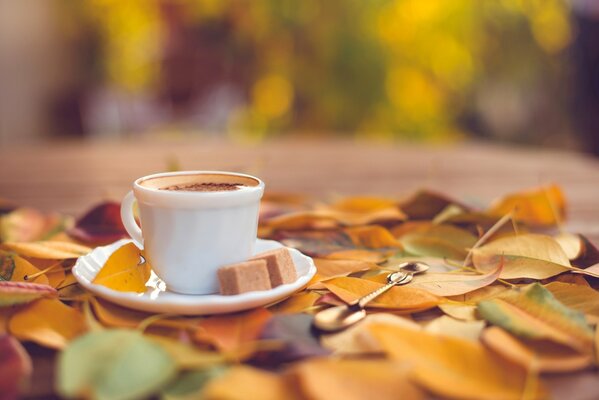 Weiße Tasse Kaffee und Zucker auf Untertasse auf Herbstlaub Hintergrund