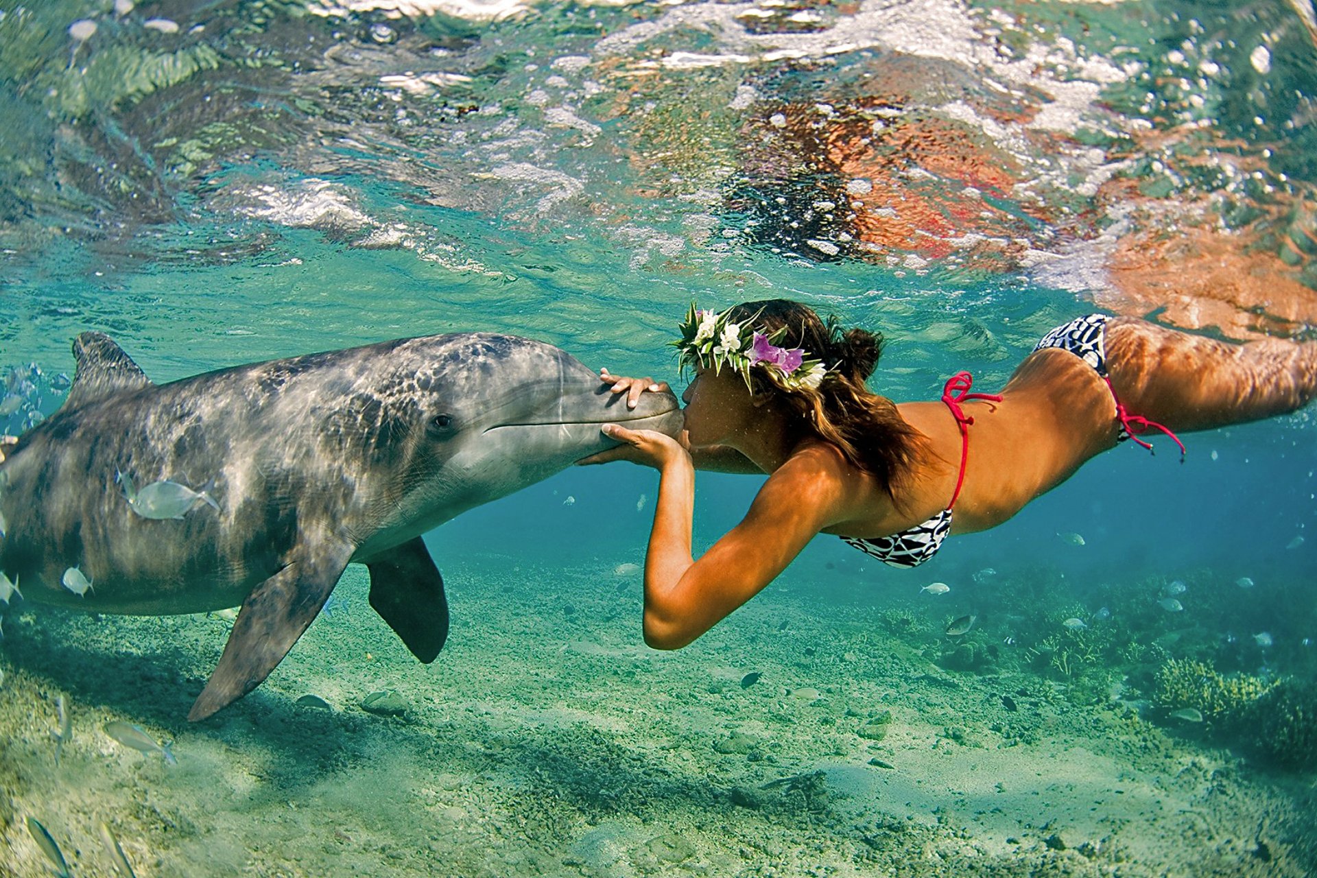 delphin mädchen ozean meer natur sommer kuss freundschaft paar
