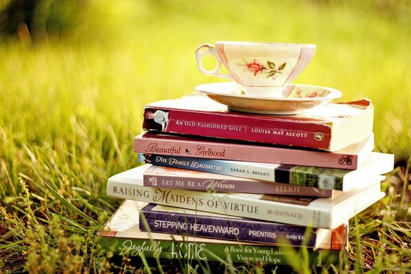 Ein Stapel Bücher mit einer Untertasse und einer Untertasse auf einer Lichtung mit Gras