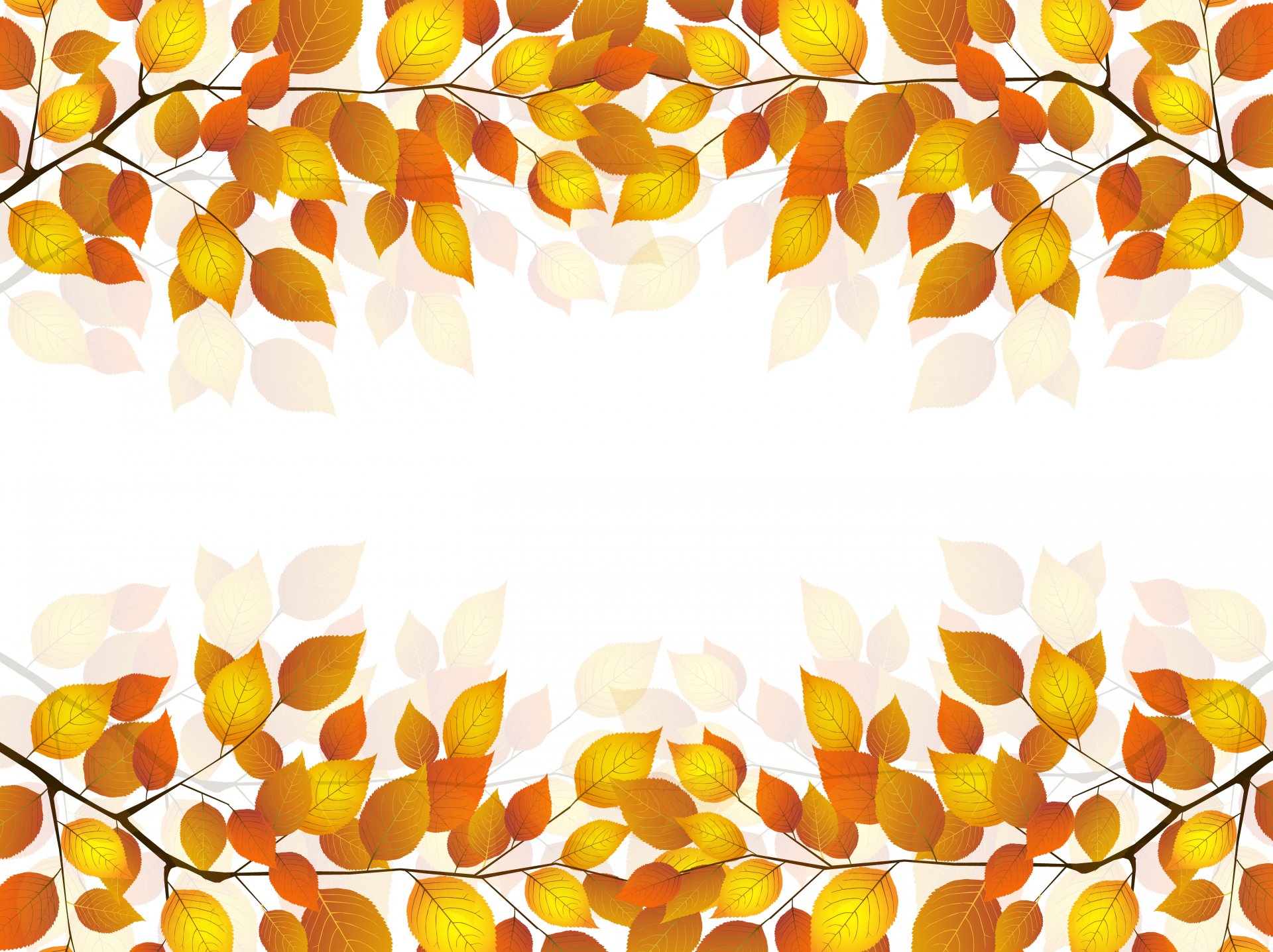 zweig blätter herbst weißer hintergrund