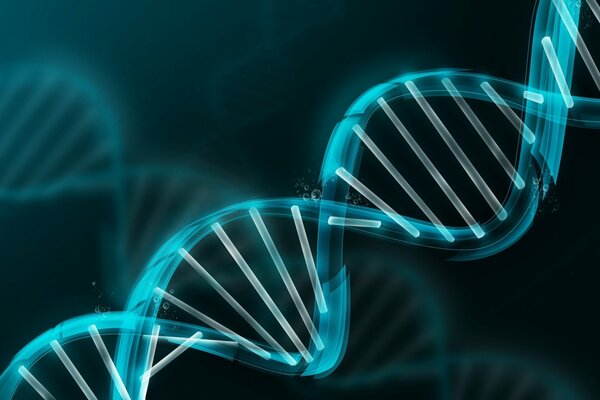 Neonmuster. Dna-Folmul-Modell