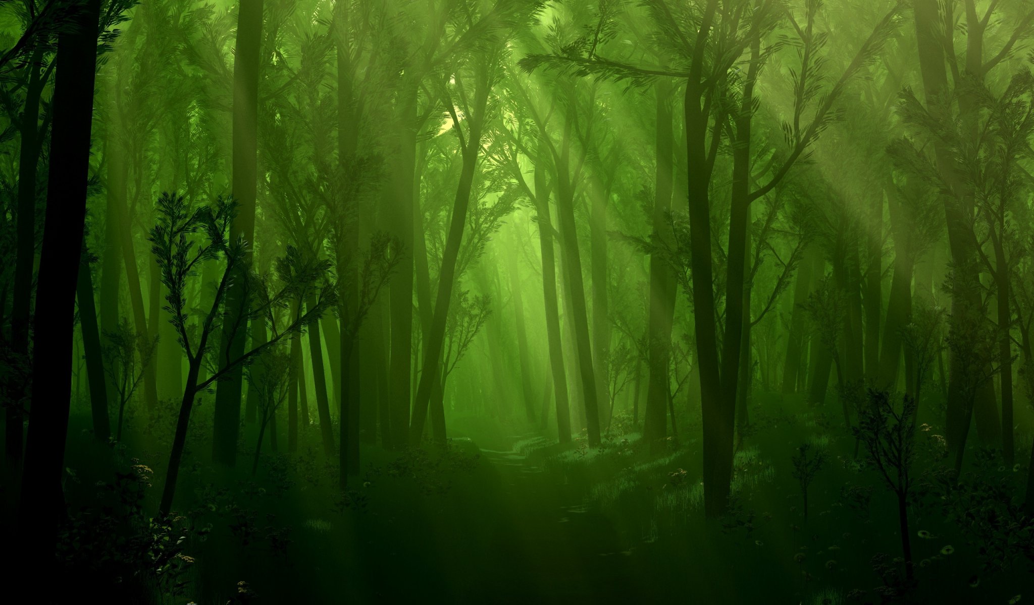 wald bach licht bäume