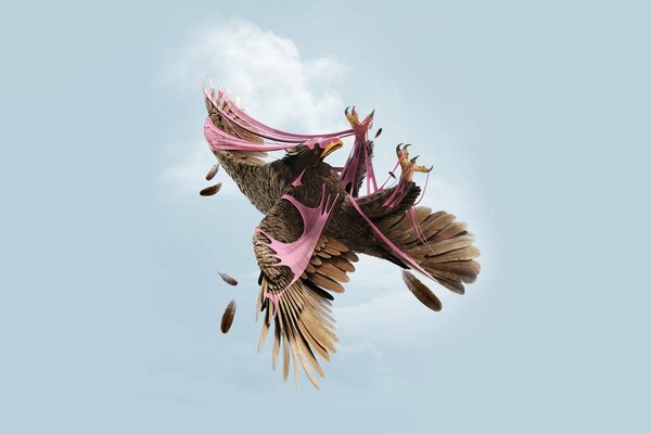 Ein Adler am Himmel hat sich im Kaugummi verheddert