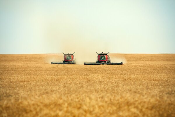 Ein paar Mähdrescher bei der Arbeit auf dem Feld