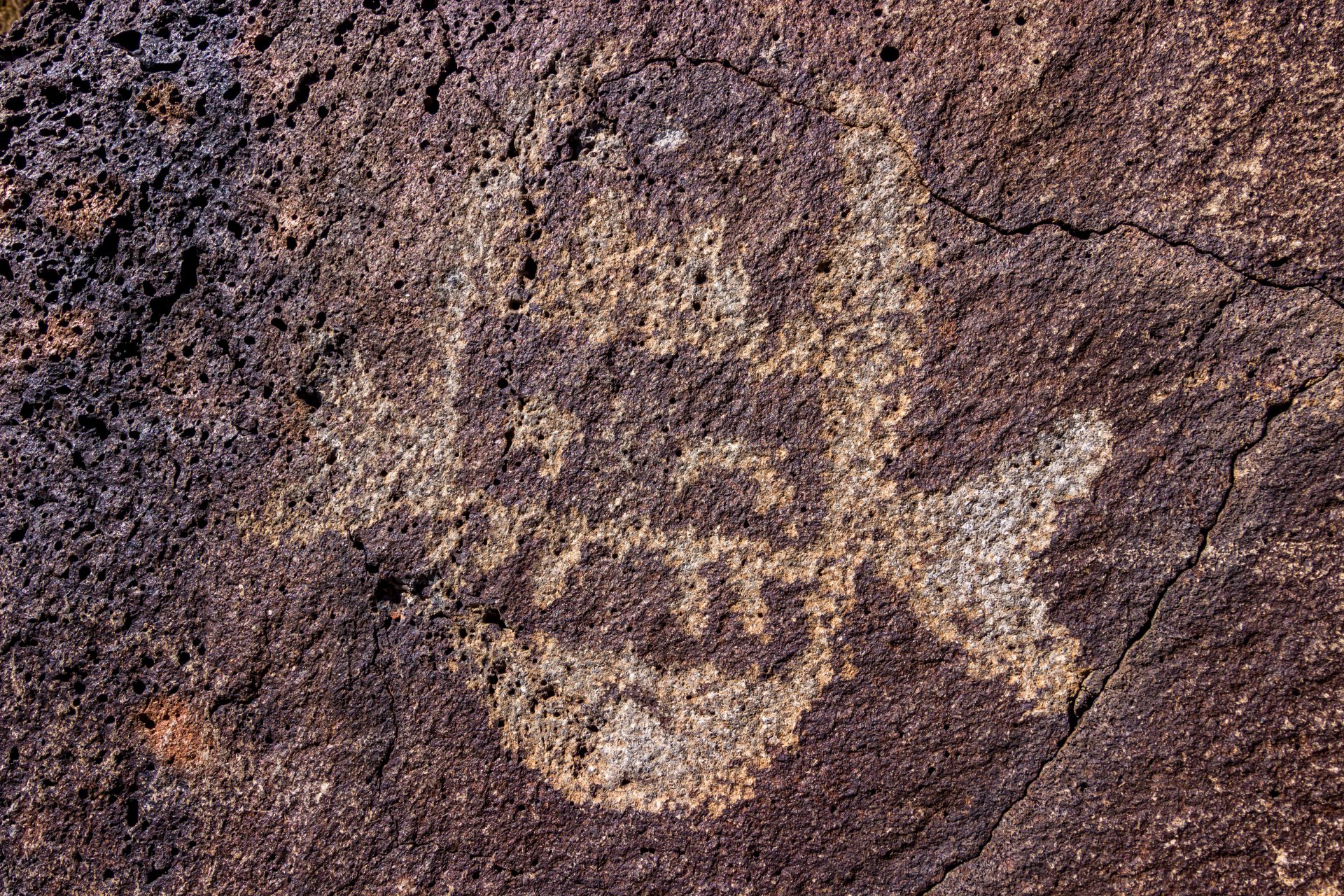 new mexico petroglyphen antike stein
