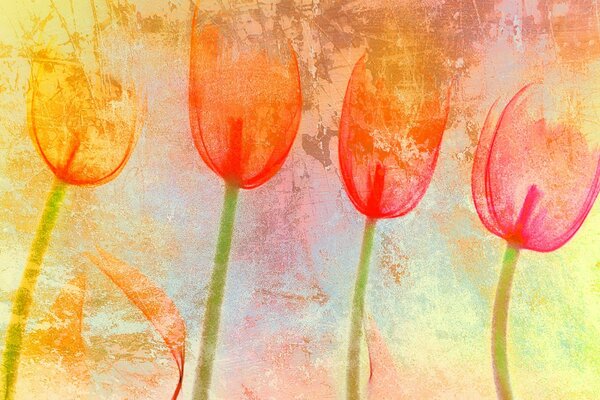 Textur in Form von Tulpe Farbe Stimmung