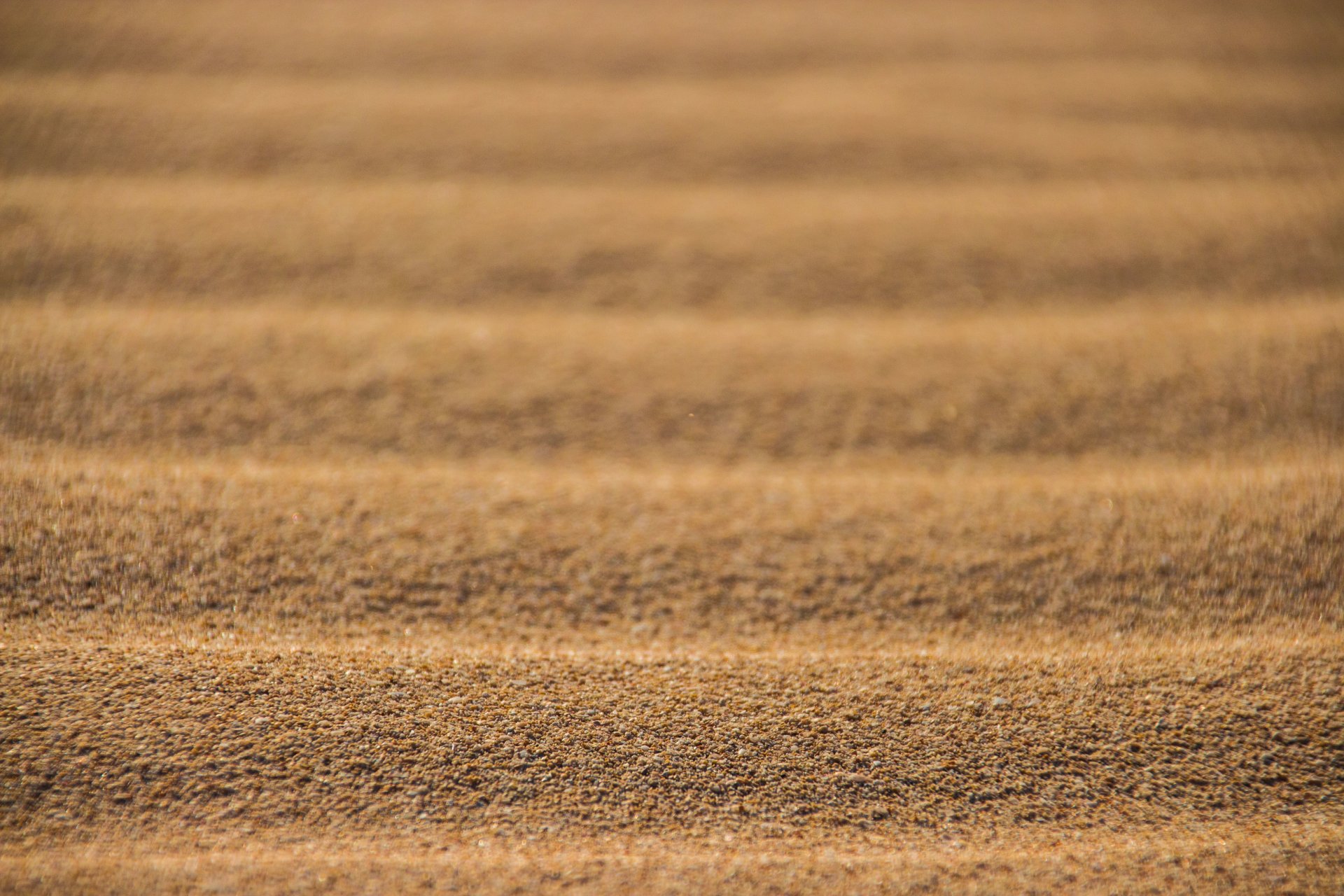wüste sand textur