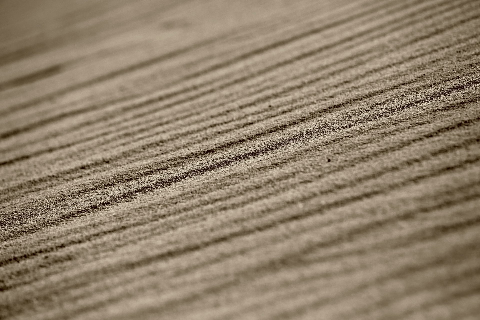 sand linien makro bokeh