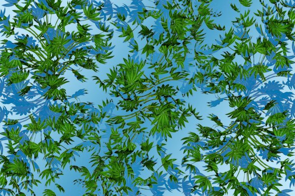 Grüne Blätter in blauem Wasser