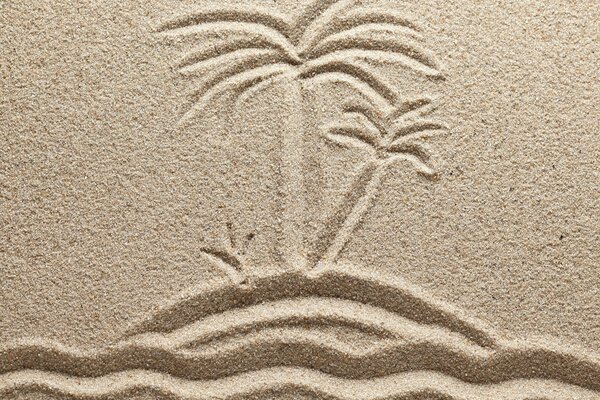 Palmen und das Meer. Muster auf Sand