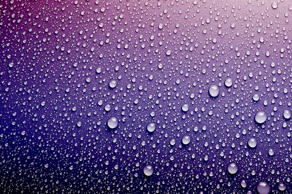 Wassertropfen auf lila Hintergrund