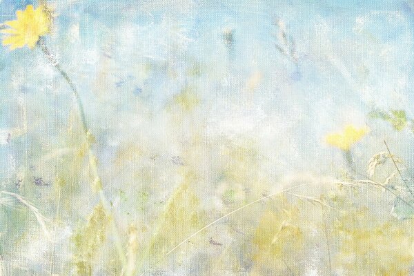 Löwenzahn auf blauem Himmel Hintergrund