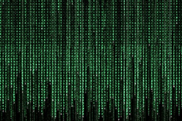 Matrix. Programmierer. Symbole auf schwarzem Hintergrund