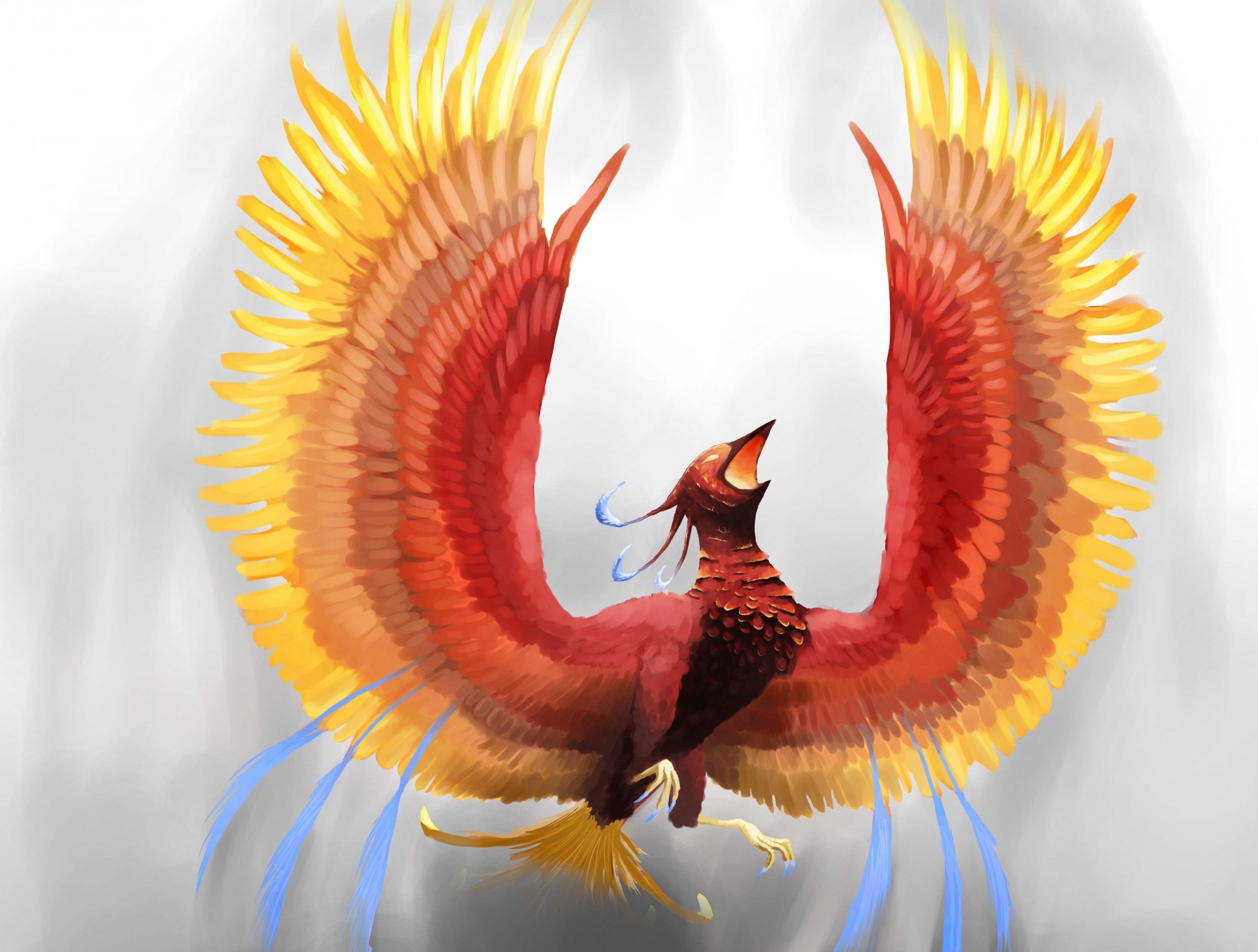 fantasie kunst feuervogel phönix gluve blick flügel federn feuer hintergrund