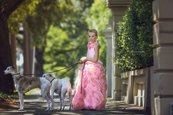 Ein Mädchen in einem rosa Kleid geht mit Hunden spazieren