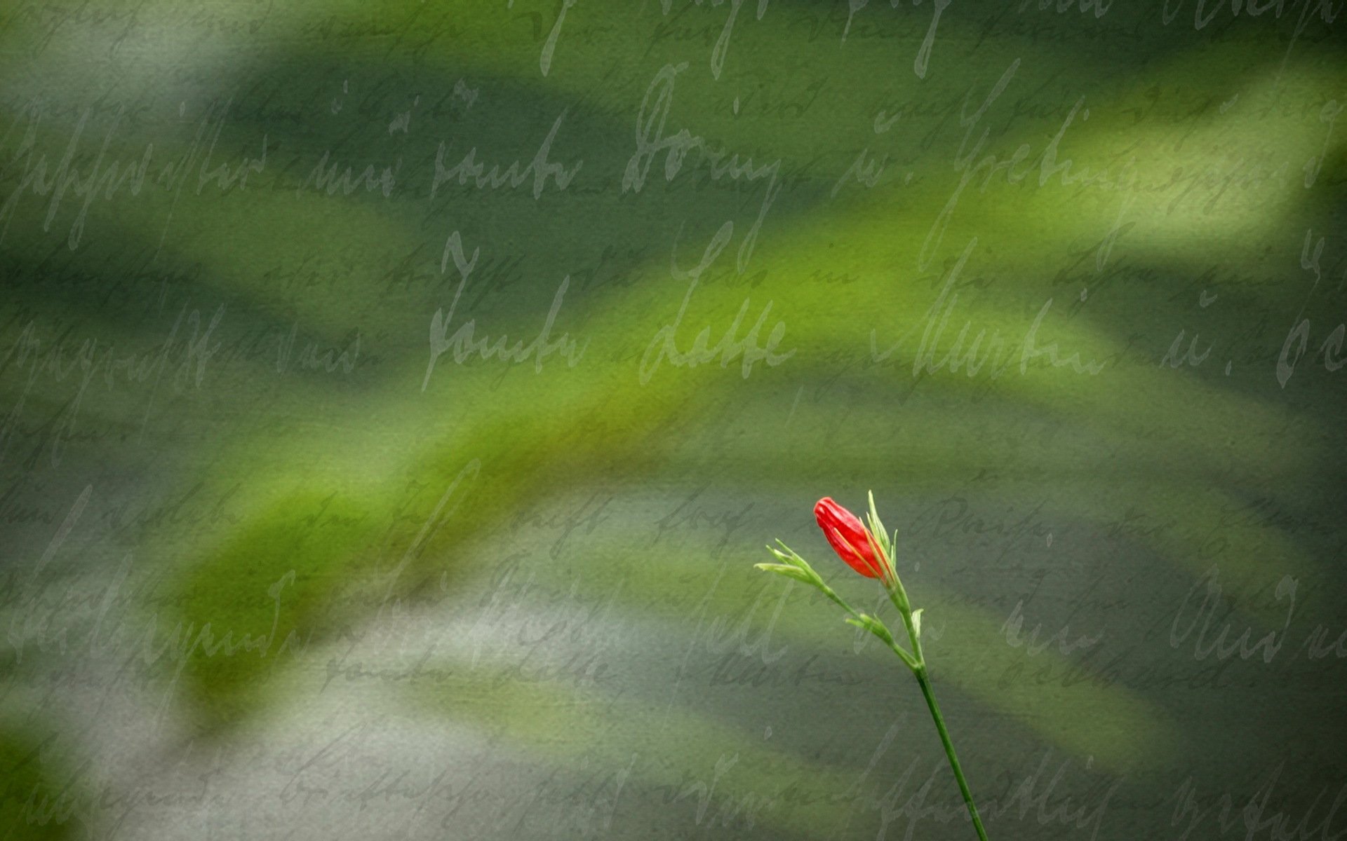 blume inschrift stil hintergrund