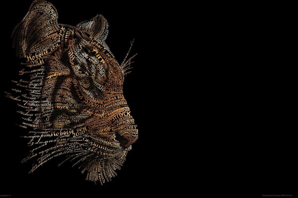 Foto eines Tigers auf schwarzem Hintergrund