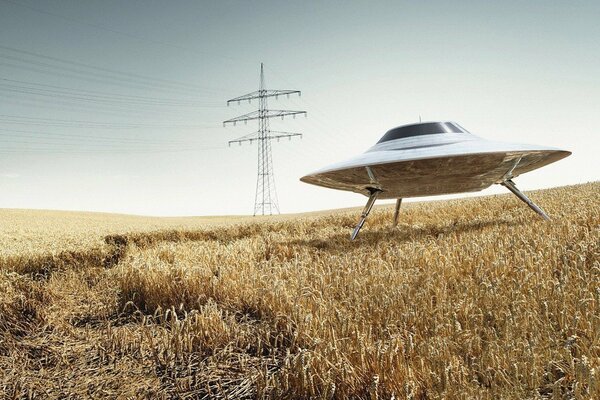Ein UFO-Teller steht im Feld