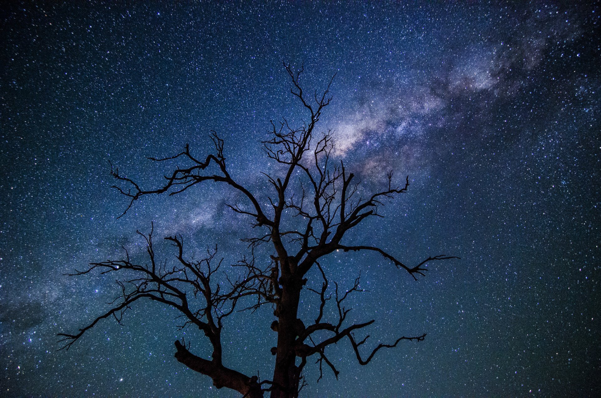 raum sterne milchstraße nacht baum