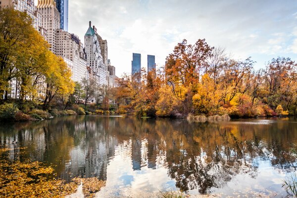 Herbst in New York, Blick vom Park auf Wolkenkratzer