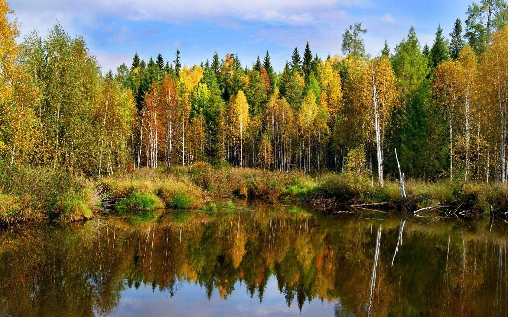 landschaft herbst teich wald