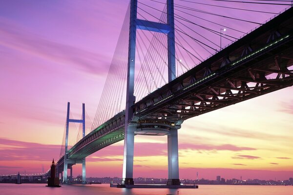 Schöner Sonnenuntergang und Brücke in der japanischen Stadt