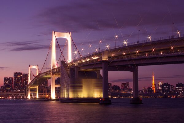 Japans Hauptstadt Tokio im Licht der Nachtlichter. Bucht im Glühen der violetten Wolken