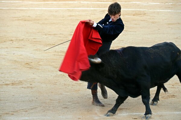 Spanischer Stierkampf. Thoreodor und der Stier