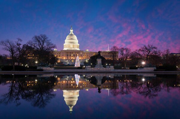 Park mit Teich in Washington