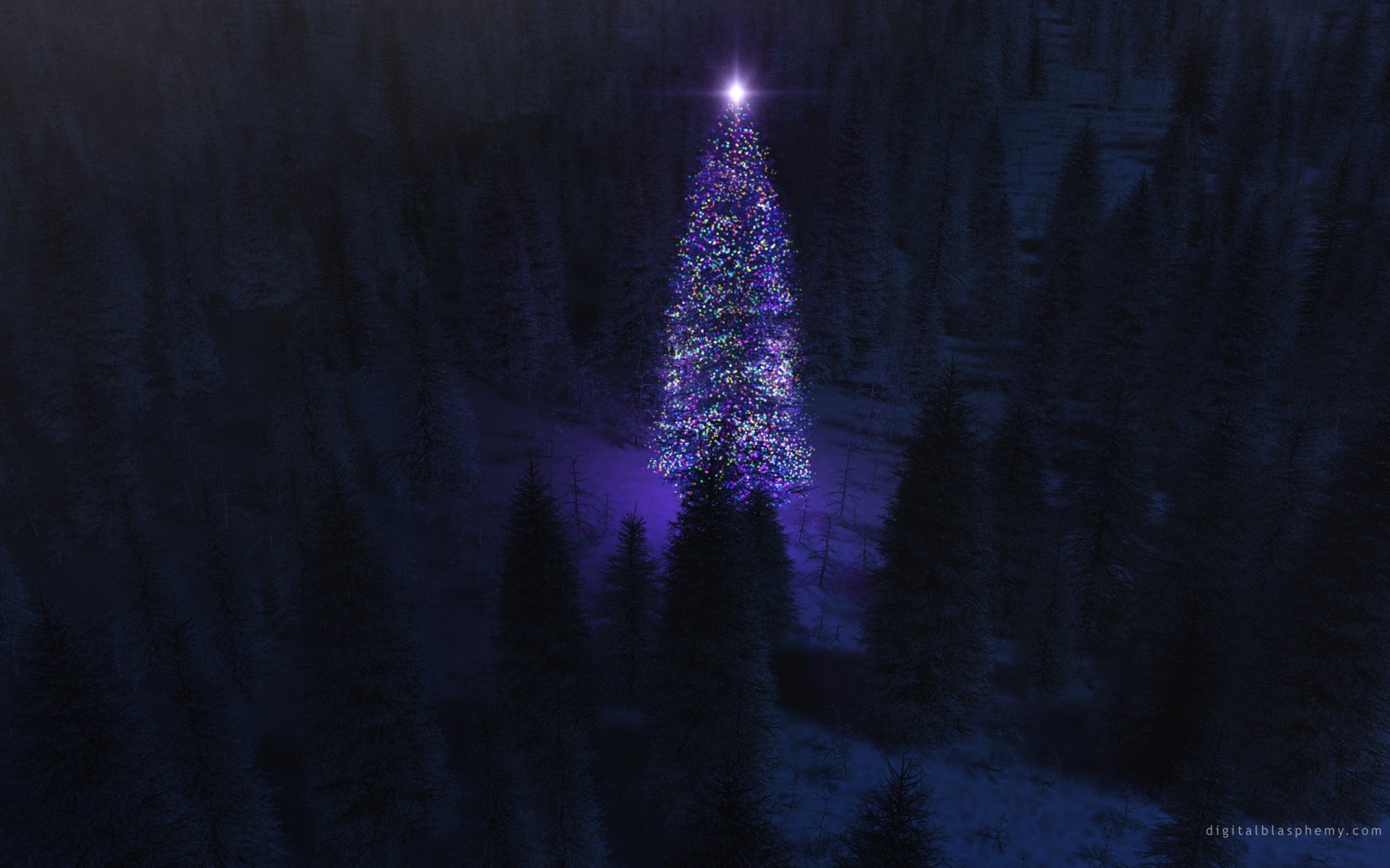 weihnachtsbaum nacht wald neujahr lichter