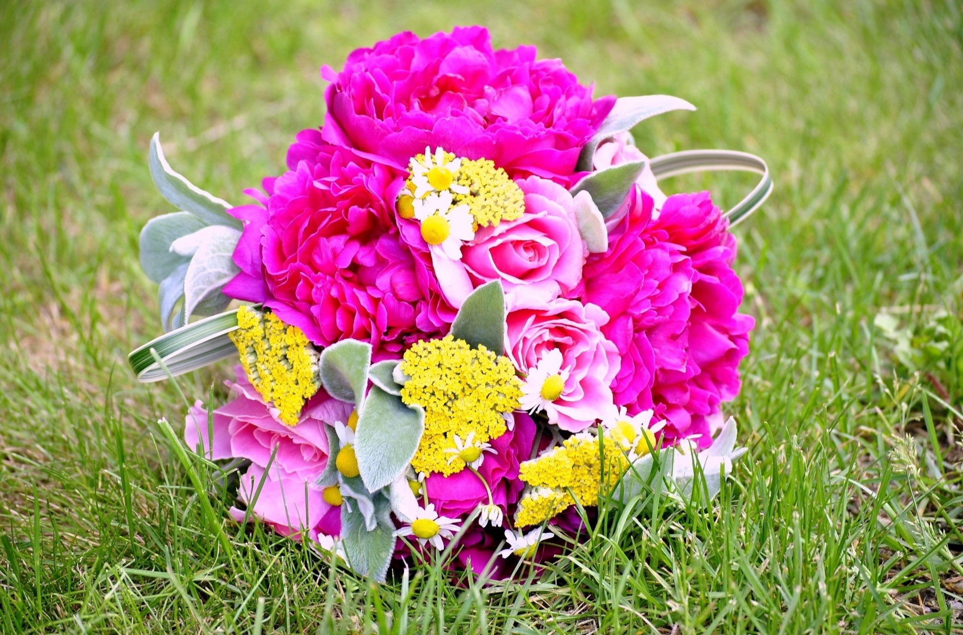 pfingstrosen rosen gänseblümchen blumenstrauß gras blumen