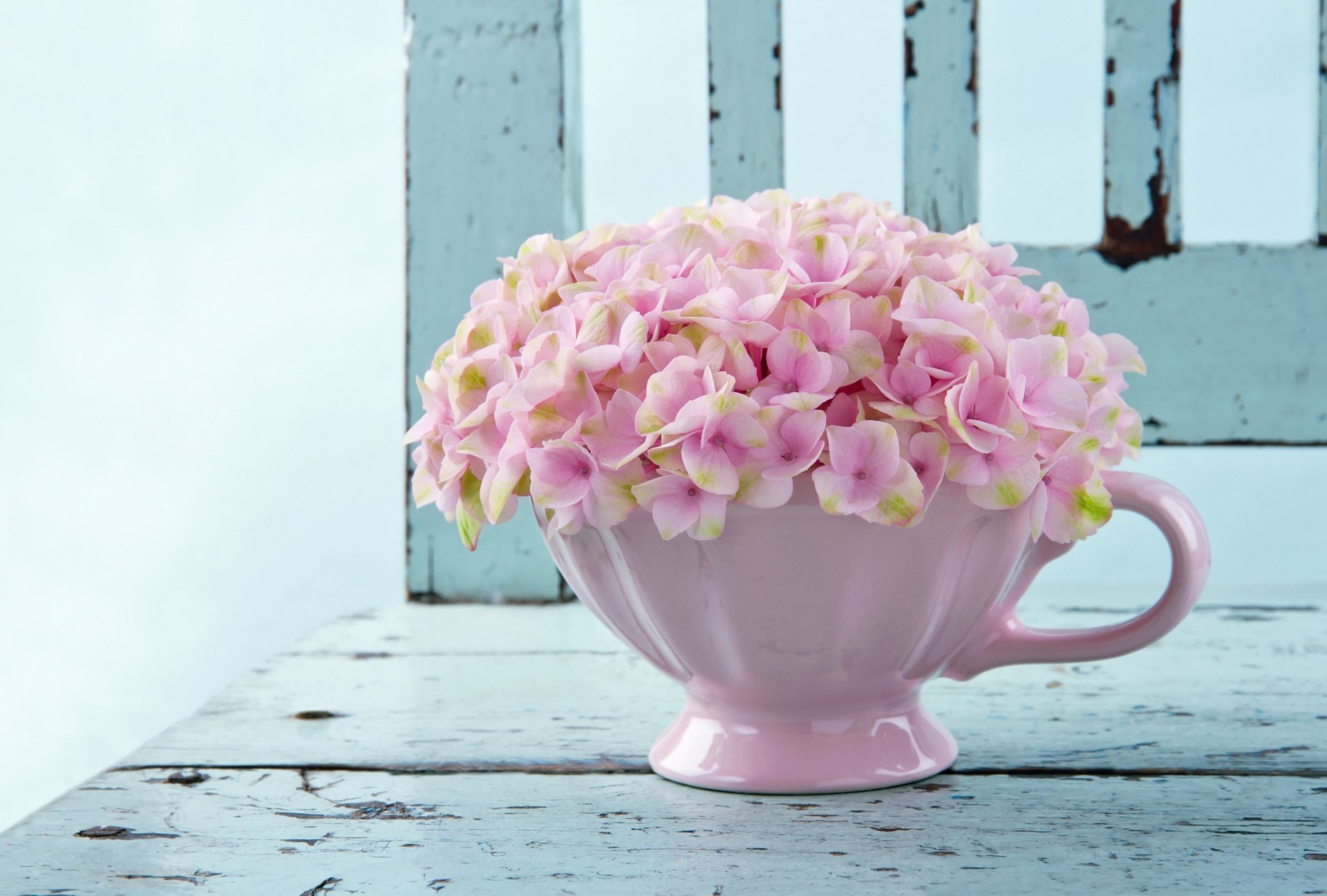 blumen vollbild vase widescreen hintergrund tapete rosa