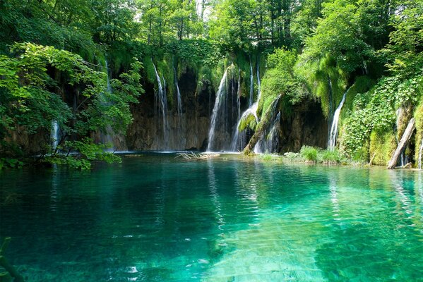 Schöne Aussicht auf den Teich mit Wasserfall