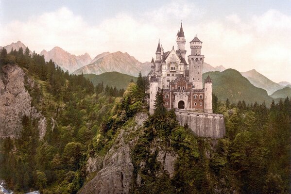 Wald inmitten der Rocky Mountains im Park
